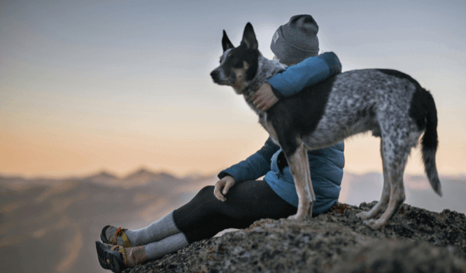 Person sitting with a dog